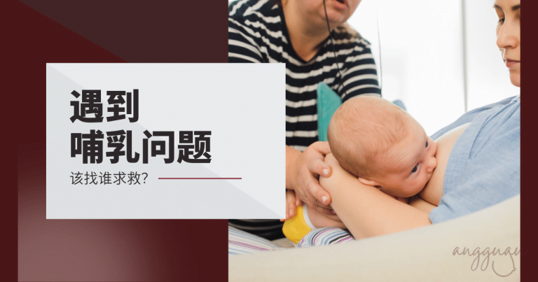 泌乳顾问