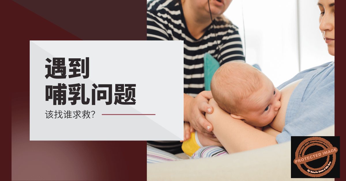 遇到哺乳问题,该找泌乳顾问还是泌乳师?